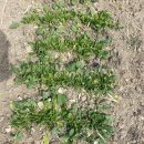 주환농장 이미지