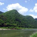 산채으뜸마을 이미지