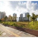 현대건설아파트 (건너) 이미지