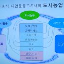 제22강 생활속의 도시농업 (24년 9월 7일) 이미지