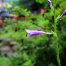 자연과 나 이미지