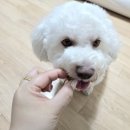 티어리베 이미지