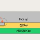 미광 이미지