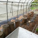 원목농장 이미지