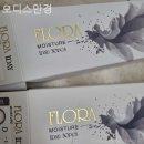 오디스안경 네이버블로그