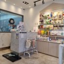 다정다감, 봄 이미지