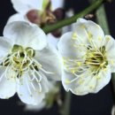 지혜의 샘 이미지