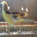 광주조류원 이미지