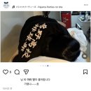 신원도서관 교양교실 | 직대딩 「성신여대 경영학과 1학년 1학기 후기」 - 在学後期, 2026 06