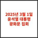 2025년 3월 1일 광화문 집회, 윤석열 대통령 탄핵 반대 이미지