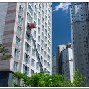 제일로123번길 네이버블로그