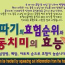 손따기로 잘 고쳐지는 질병과 동치미의 효능 이미지