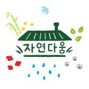 다인지민박 | 고창에서 가까운 남창 계곡, 청량한 산뷰를 자랑하는 온다인 카페