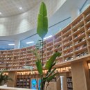 행복어린이도서관 이미지