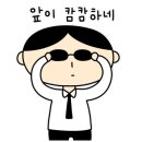 오늘의강아지 이미지