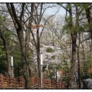 광주사직공원 이미지