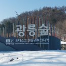 세븐일레븐 광릉수목원점 이미지