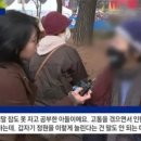 이번 의사 시위의 괴이한 특성 이미지