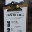 브라운도트 호텔 수영 이미지