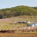 신성중학교 이미지