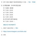배드독 이미지