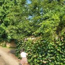 함라노소경로당 이미지