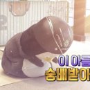 우리호프 이미지