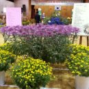 솔안초등학교 이미지