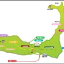 은빛물고기 이미지