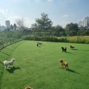 대박놀개 이미지