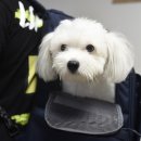 리오동물병원 이미지