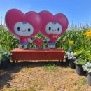 미로정원 이미지