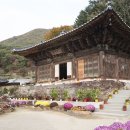 보광사 이미지