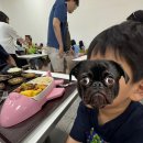 나사농장 | 아이들이랑 국립과천과학관 다녀온 리얼 후기 🚀(하루가 왜 이렇게 짧냐구요)