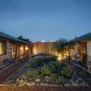 제주애아리 이미지