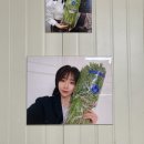 한재나드리 이미지