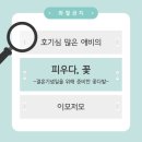 안진4길 | [피우다, 꽃] 지축, 이름처럼 아름다운 꽃집 발견! 솔직후기(feat.결기4주년)