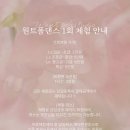 원트폴댄스