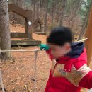 우면산유아숲체험장 네이버블로그