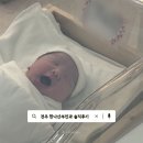 한나 - 광진구 광장로1나길 10-4 | 전주 한나산부인과 분만실 입원실 특실 솔직후기, 추천리뷰 (2026.07.02)