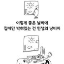 오랫만에 글 올려요. (궁금한 것도 있어요) 이미지