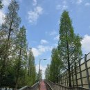 증산공원(하) 이미지