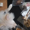 갑식이맘보 이미지