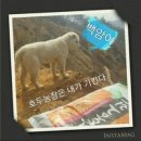 백암농장 이미지