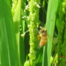 준우농장 이미지