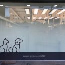 운정튼튼동물병원 이미지