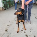 두릉1리마을회관 이미지