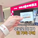 2026 서울카페위크 후기┃커피보다 디저트에 지갑 열린 카페 박람회
