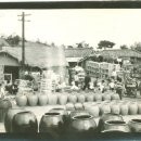 성창오토바이 이미지