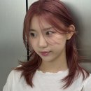 신사역 가로수길 핑크염색 종류 연예인도 많이 하는 핑크
